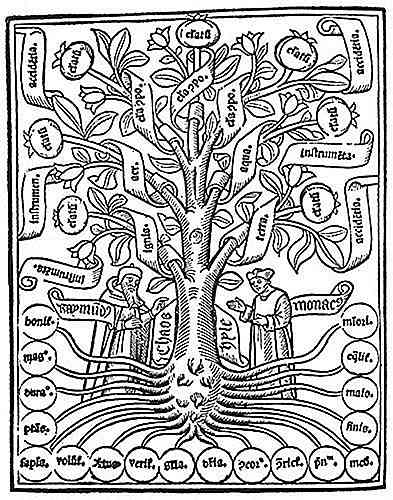 Porfirio Tree dans ce qu'il contient, ce qu'il sert et des exemples