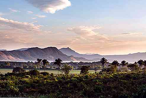 Principales caractéristiques de la végétation du Yucatan