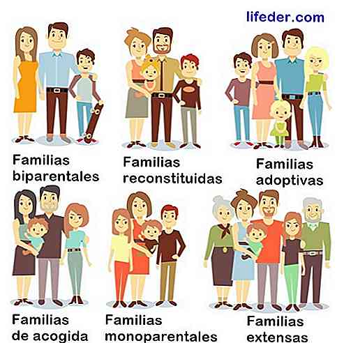 Les 9 types de famille existants et leurs caractéristiques