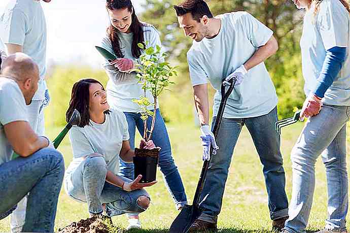 10 actions pour le soin de la biodiversité