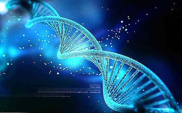 Storia del DNA, funzioni, struttura, componenti