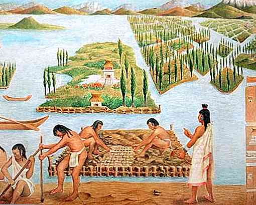 Olmec Agricoltura Caratteristiche, cibo e tecniche