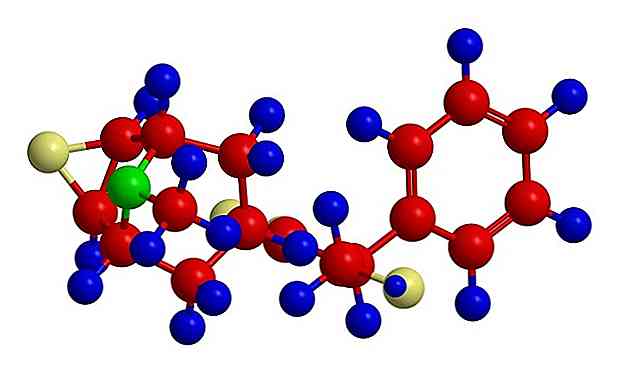 Burundanga (Scopolamin) Wirkungen, Symptome und Wirkungsmechanismus