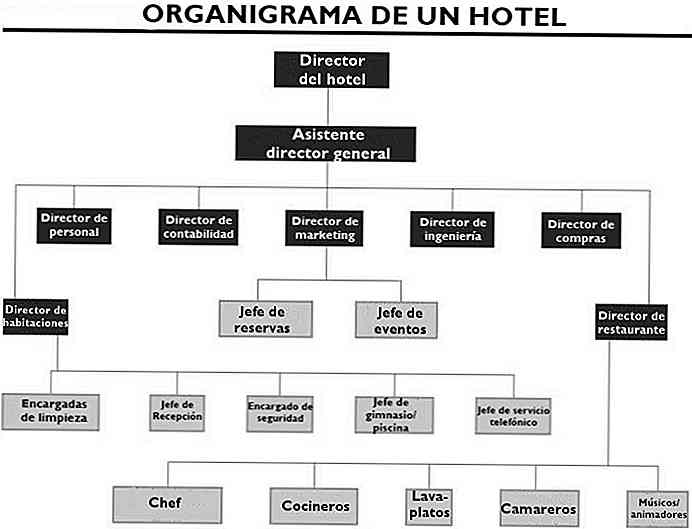 Wie ist das Organigramm eines Hotels? (und seine Funktionen)