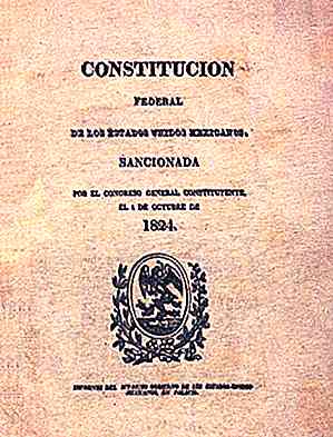 Constitucionalismo e Origem do Sufrágio, Causas e Consequências