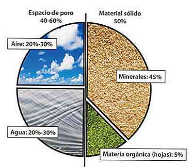 Qual è la composizione del suolo?