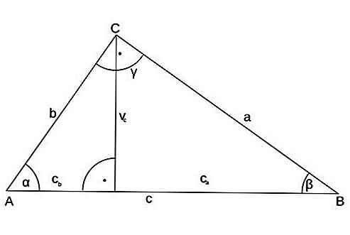 Quali sono gli elementi del triangolo?