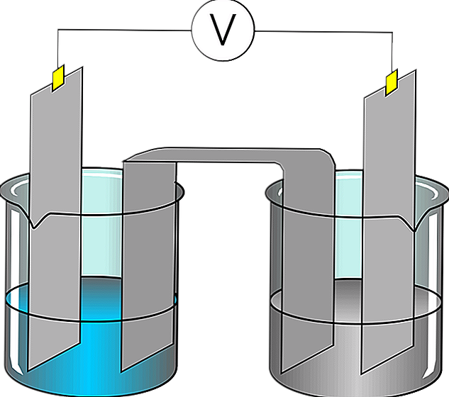 Elettroliti forti e deboli, differenze, esempi