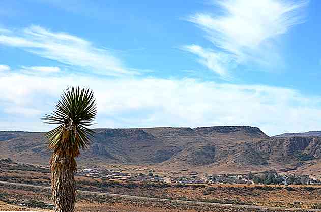 Flora e Fauna di Durango Le caratteristiche più importanti