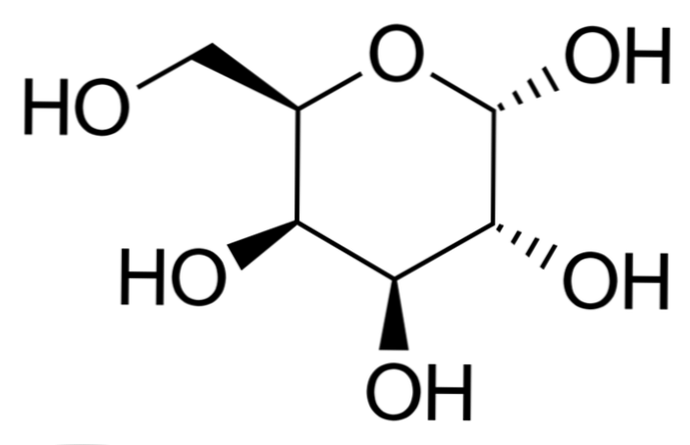 Structure de galactose, fonctions, métabolisme et pathologies