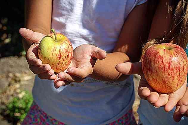 Caractéristiques, types et principaux avantages des jardins scolaires