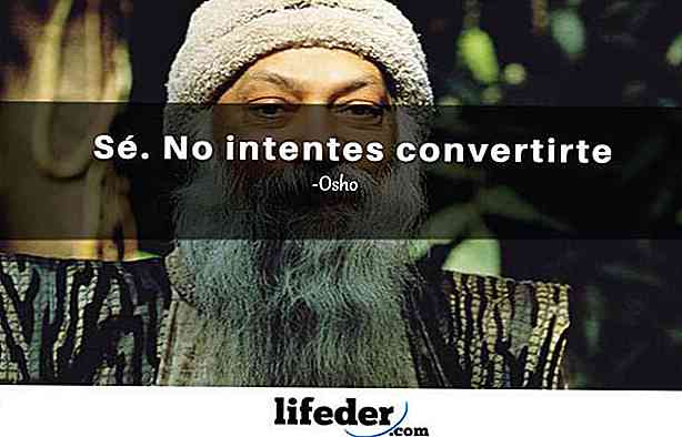 Les 100 Meilleures Phrases D Osho Thpanorama Deviens Mieux Maintenant