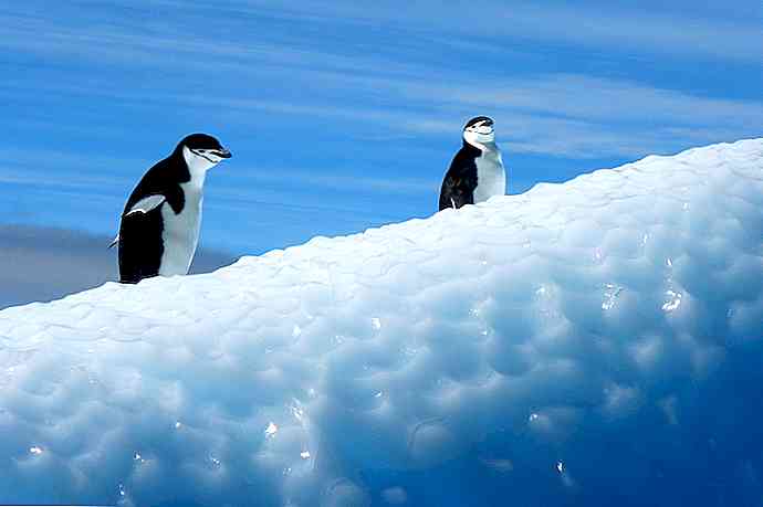 Le 5 caratteristiche antartiche più straordinarie