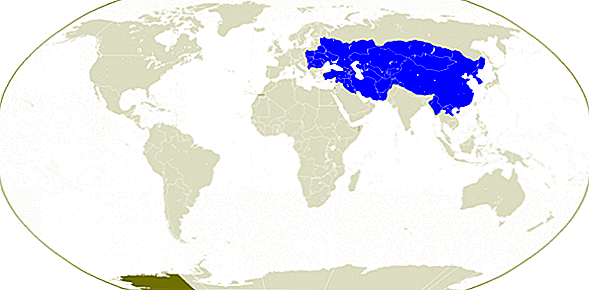 As 5 características do mais proeminente império mongol