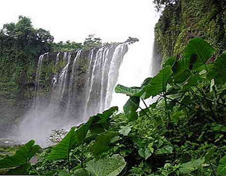 Le 7 regioni naturali di Veracruz e le loro caratteristiche