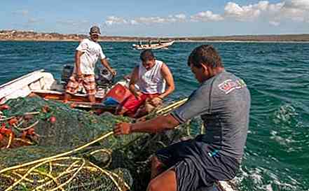 Le 7 zone di pesca venezuelane più importanti