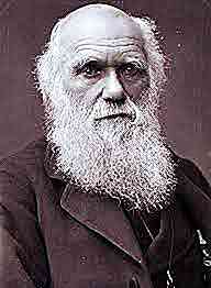 Les 70 meilleures phrases de Charles Darwin