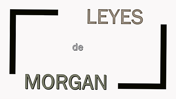 Lois de Morgan