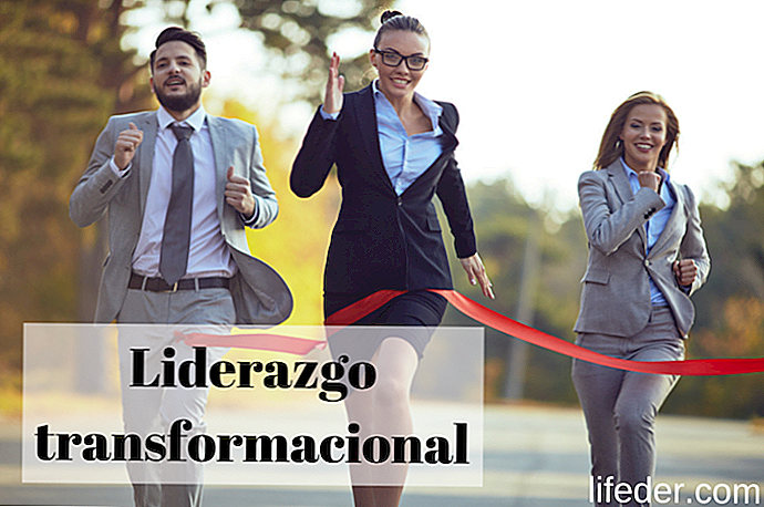 Trasformational Leadership 15 Caratteristiche, vantaggi e svantaggi