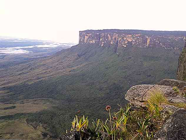 I 10 patrimoni naturali più importanti del Venezuela