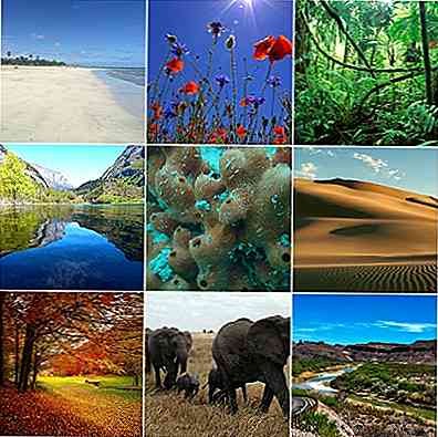 Les 19 types d'écosystèmes les plus importants
