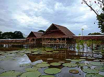 Les 5 sites touristiques de la région amazonienne