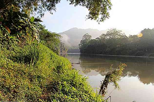 Le 7 risorse naturali di Tabasco Principales