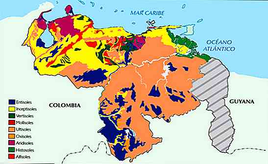 Les 9 types de sol au Venezuela