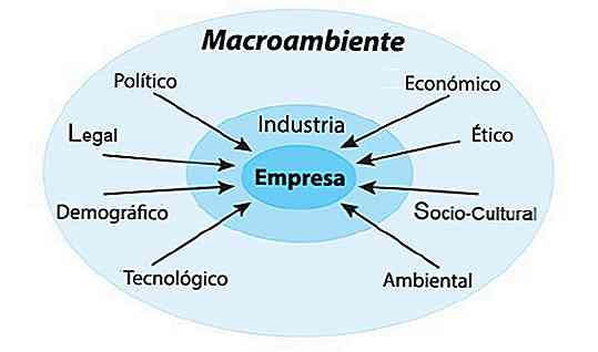 Macroenvironment al factorilor companiei, analiză și exemplu