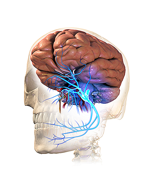 Neuralgia trigemenală Simptome, cauze, tratament