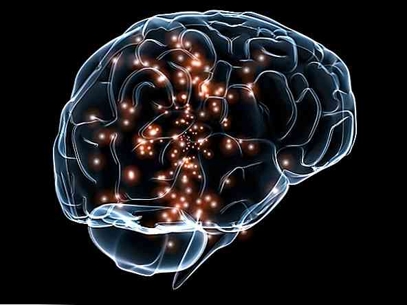 Cognitive neuroscience istorie, domenii de studiu și aplicații