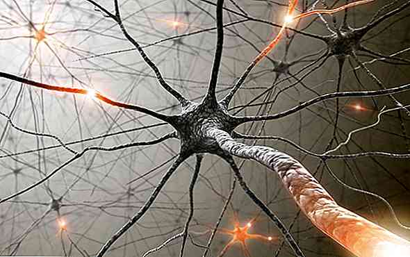 Stadiile, abilitățile și tulburările neurodevelopmentului