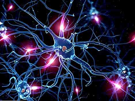 Neuronii motori Caracteristici, tipuri și boli