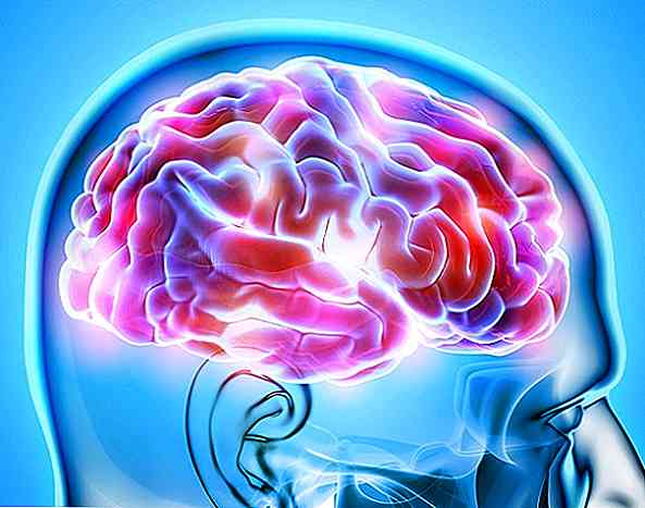 Definirea, istoricul și caracteristicile neuropsihologie