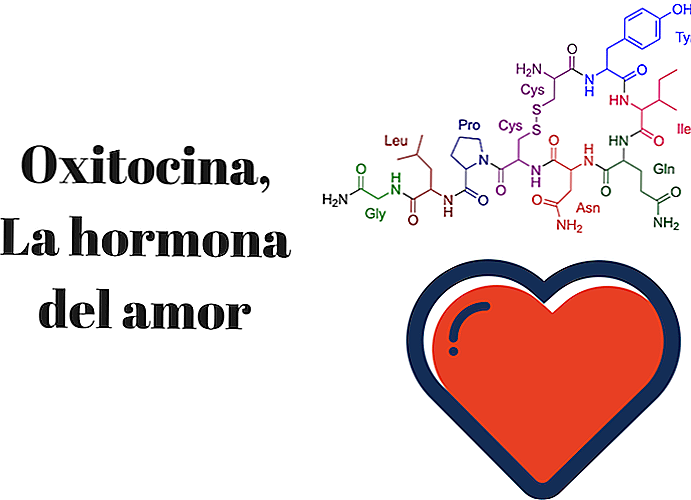 Oxytocin Das Hormon der Liebe