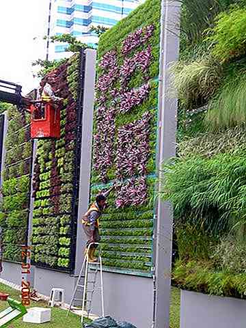 Que sert un jardin de légumes vertical? 6 utilisations