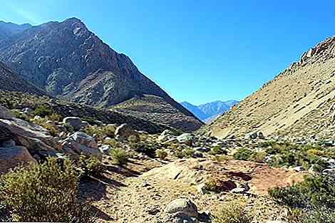 Patrimonio naturale del Cile Zona Nord, Centro e Sud