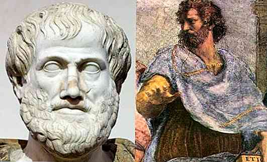 Aristotel a gândit cele 10 puncte principale