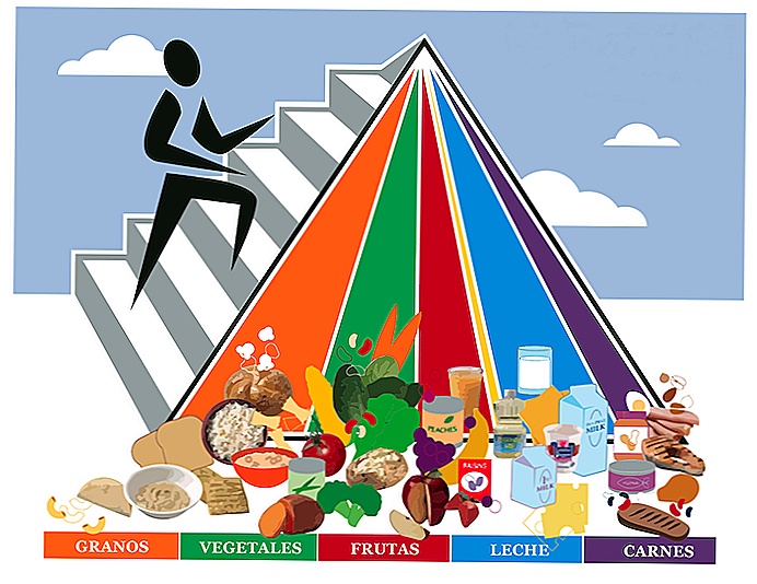 Ernährungspyramide Wie man eine korrekte Diät hat?