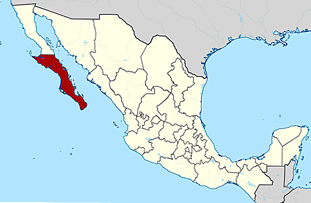 Popolazione della demografia e delle caratteristiche della Bassa California del Sud