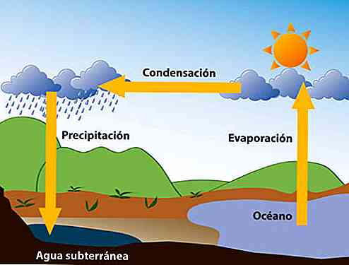 Ce este umiditatea atmosferică?