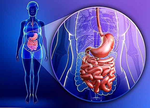 Care este microbiota intestinală?