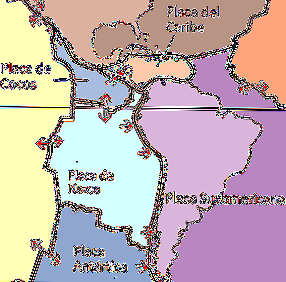 O que é a placa sul-americana? Características principais