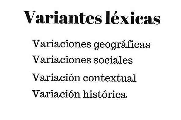 Quais são as variantes lexicais? Tipos e Exemplos