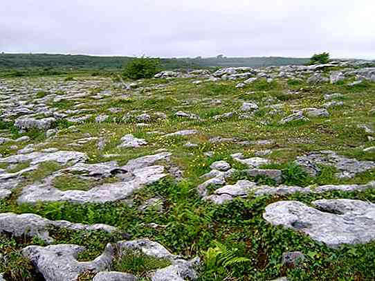 Caratteristiche principali del suolo roccioso