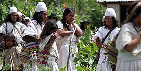 Cultura, dogana e arte di Taironas