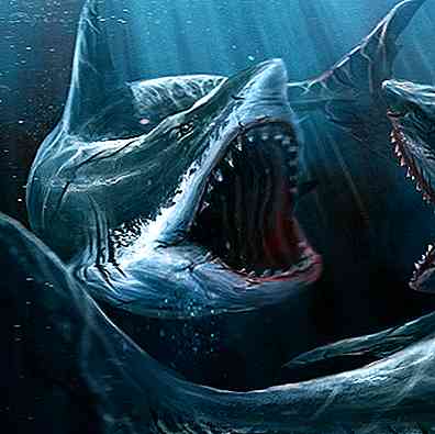 História, realidade ou ficção do tubarão submarino?