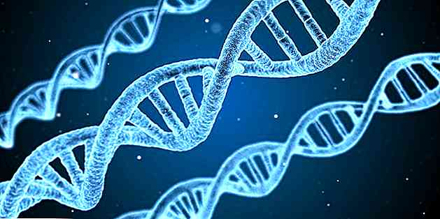 Tipos de principais mutações genéticas ou cromossômicas