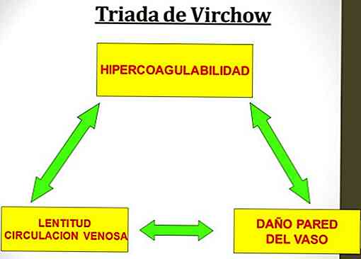 Componentes e recursos da Triach da Virchow