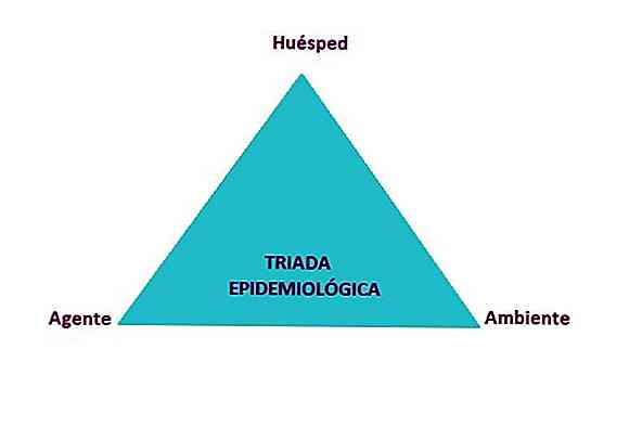 Epidemiologische Triade Definition und Komponenten